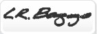 LR Baggs